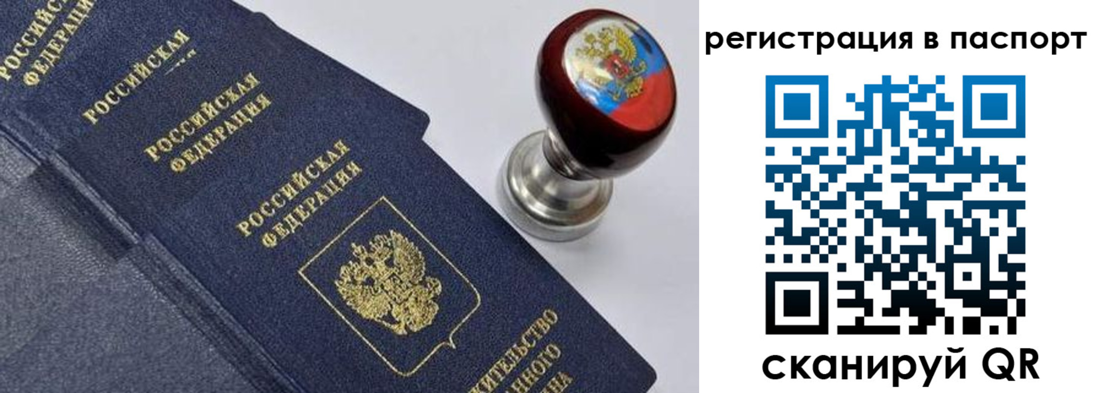 прописка поиск в Димитровграде