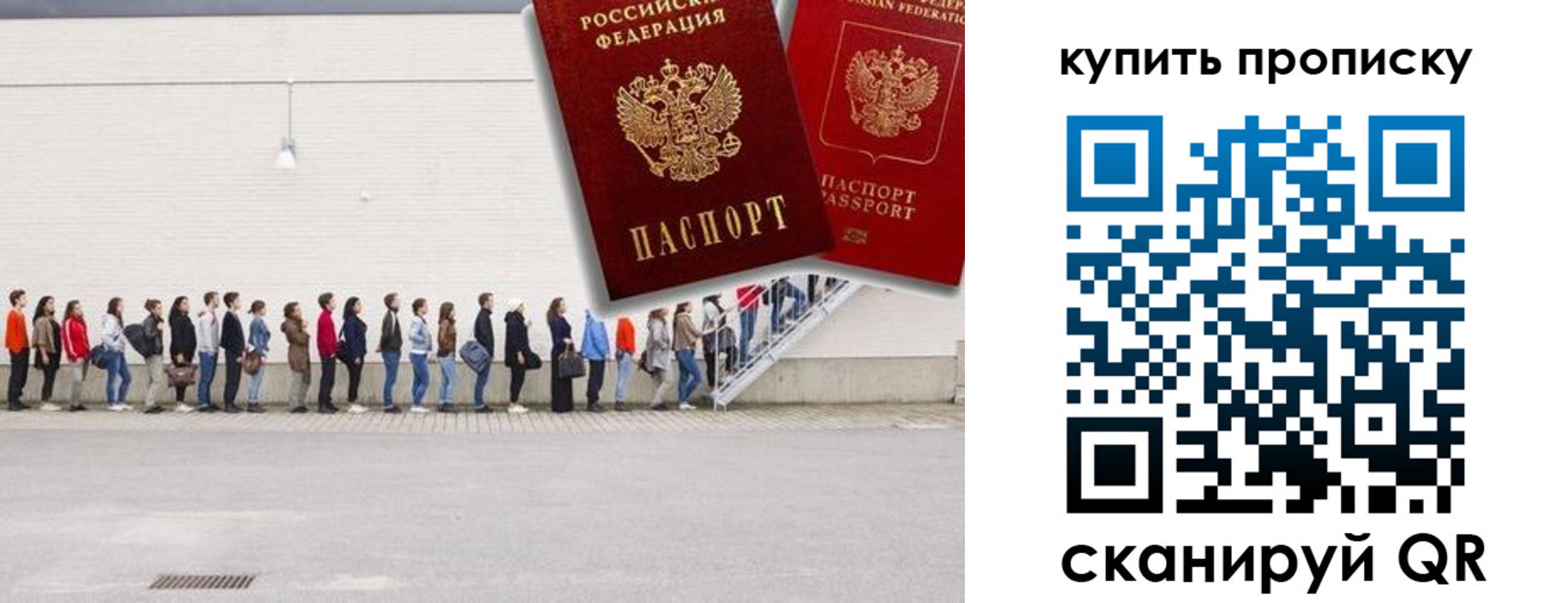 прописка штамп в Димитровграде